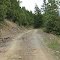 Quines creek to Port Orford