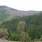 Quines creek to Port Orford