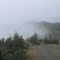 Quines creek to Port Orford