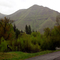 View from forest road 39