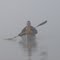 Kayaking in the fog