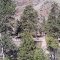 Near Bisbee Creek
