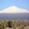 Mt. Bachelor