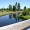 Little Deschutes River near La Pine