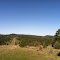 Kinzua Airstrip