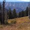 Kinney Point