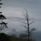 Oregon Coast