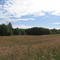 Meadow near Otis, Oregon