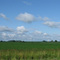 wind farm east of Nora Illinois USA july 2009