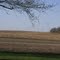 winslow windmills