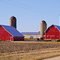 Country Farm
