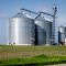 New, large grain elevators