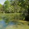 Still waters