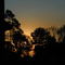 Sundown from my bed