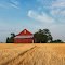 Tillman Road Barn -- Allen County Indiana