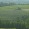 corn row's in N.E.Pa.