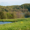 little elk lake beyond the pond