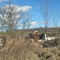 the ruined barn on route 29