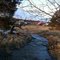 Run in early spring, near Mifflintown