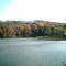 Pond nearby white bridge