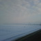 Pine Island Misty Morning