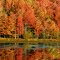 Fall in Walton, NY