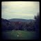 Apple Ridge Orchards