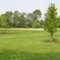 Marion F. Clawson Memorial Park