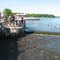 fish and ducks at the spillway, Pymatuning Dam, Linesville, Pennsylvania