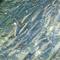 Steelhead Stacked in Trout Run