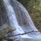 Steelhead Fishing in Erie