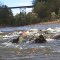 Steelhead Fishing in Erie