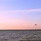 ...and fly away.