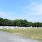 Saint Marys Cemeteries