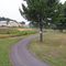 Sandy Lick