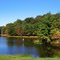 Little Flipper Pond