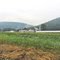 Farm