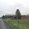 Along Winter Road