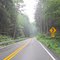 Bull Run Road