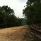 New Gas Line