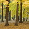 Monticello Park