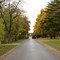 Monticello Street