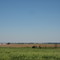 facing east towards Champaign Urbana