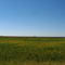facing west towards Monticello