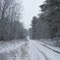 Fairchild Road in winter