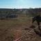 Huffs Church Area - Horse Farm
