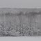 Sticky Snow