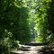 Butler-Freeport Trail