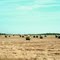 201, Grant, Oklahoma, USA  - hay roll harvest