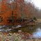 At the Pleasant Stream crossing